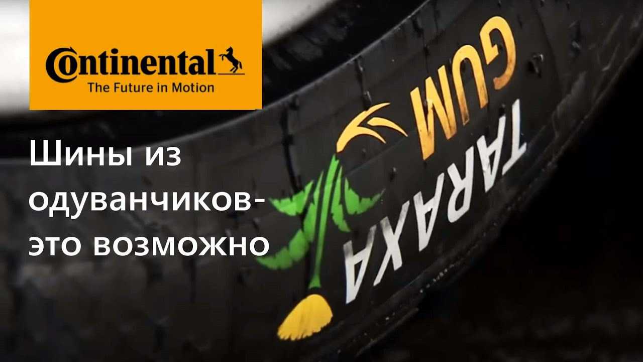 Continental будет делать резину из российских одуванчиков - журнал движок.