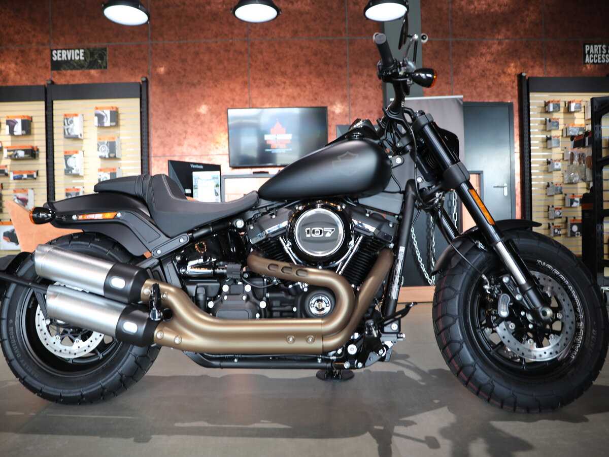 Harley fat Bob