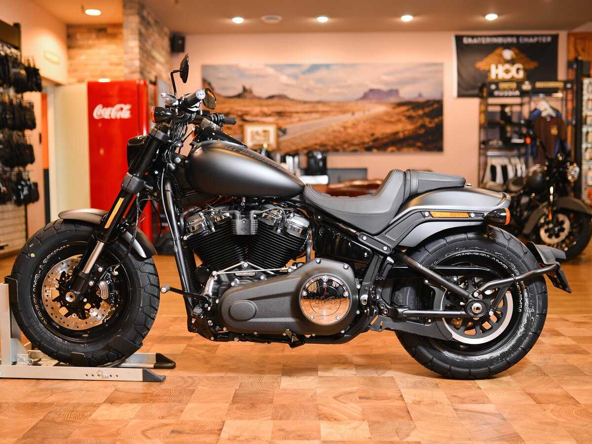 Harley fat Bob